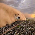 میم خام طوفان گردباد سگ