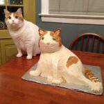 میم خام گربه و کیک گربه