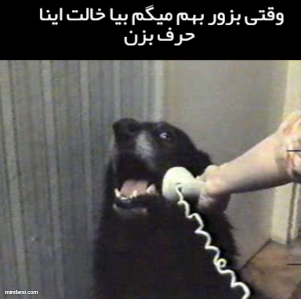 میم صحبت کردن سگ با تلفن میم وقتی بزور بهم میگن…